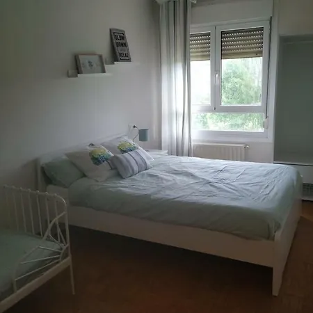 Apartment Piso Montevil *